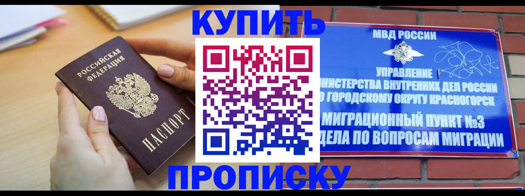 временная регистрация в Кашине